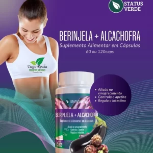 Berinjela com Alcachofra