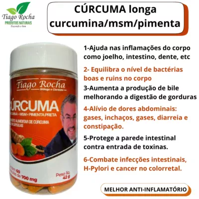 02 FRASCOS de Anti-Inflamatória Verdadeira Cúrcuma longa MSM