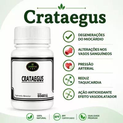 Crataegus 500Mg 60 Cápsulas coração