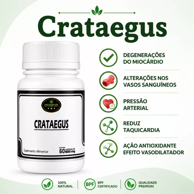 Crataegus 500Mg 60 Cápsulas coração